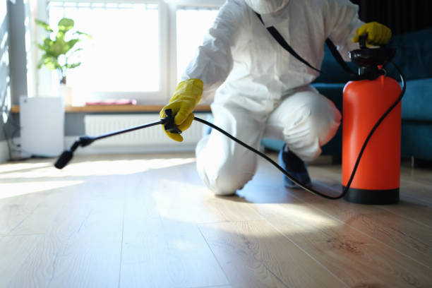 Reliable Odor Removal contractor in Totowa, NJ by Trauma Clean Pros